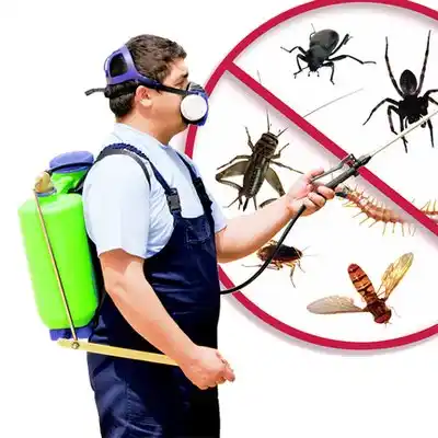 pest control Harrington Park